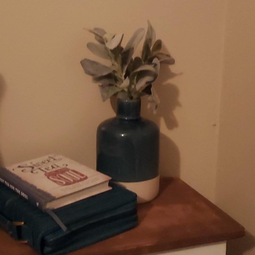 🔴Blue and tan vase